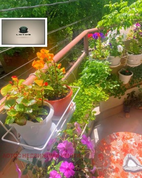 ������� 2-����� | Imot.bg � ����� ������ 15