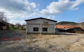 ������ ������� ����. ���������