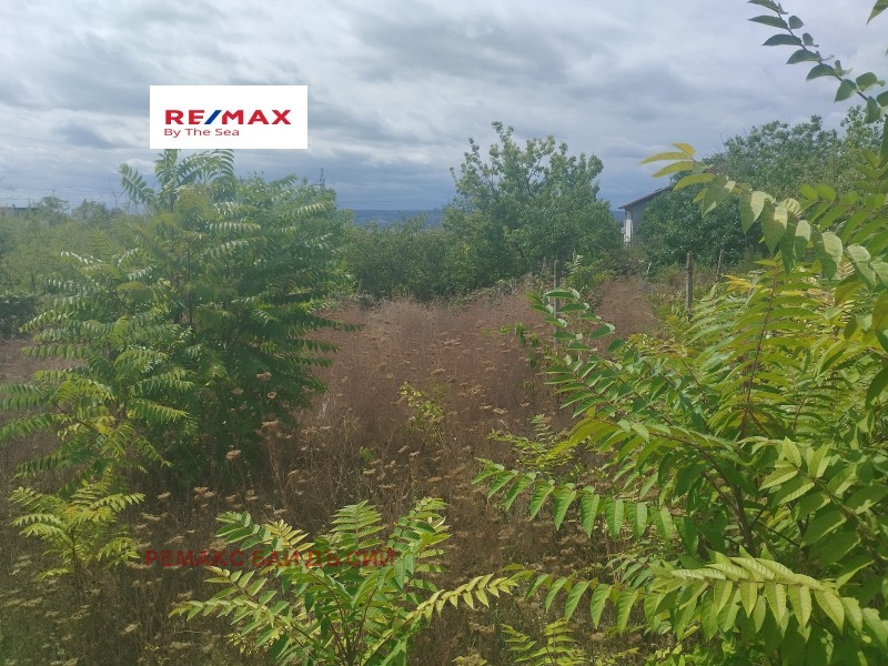 In vendita  Complotto Varna , Izgrev , 550 mq | 16621528 - Immagine [4]