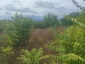 Продава ПАРЦЕЛ, град Варна, Изгрев • 63500 € • 37033027 — Holmes.bg