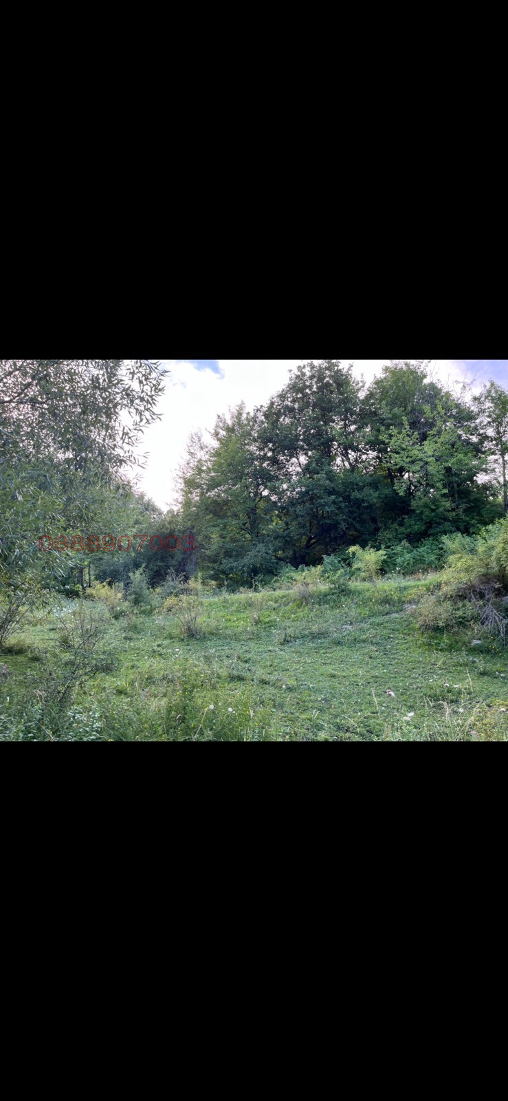 Продава ПАРЦЕЛ, к.к. Пампорово, област Смолян, снимка 4 - Парцели - 52780696