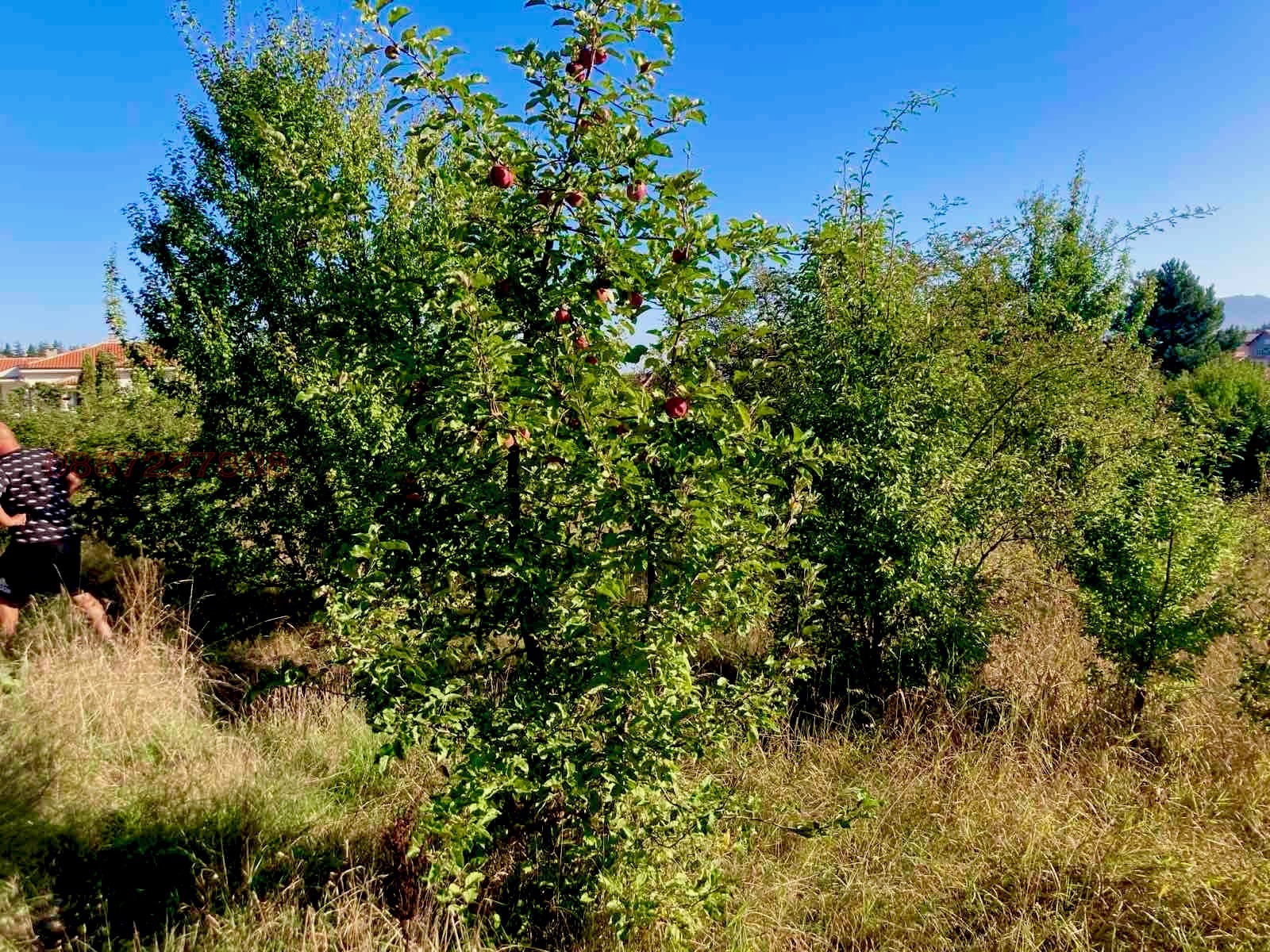 Продава ПАРЦЕЛ, гр. Перник, Център, снимка 3 - Парцели - 54172340