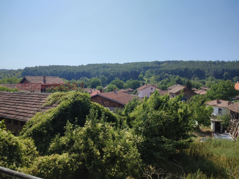 Продава КЪЩА, с. Делейна, област Видин, снимка 14 - Къщи - 52779165