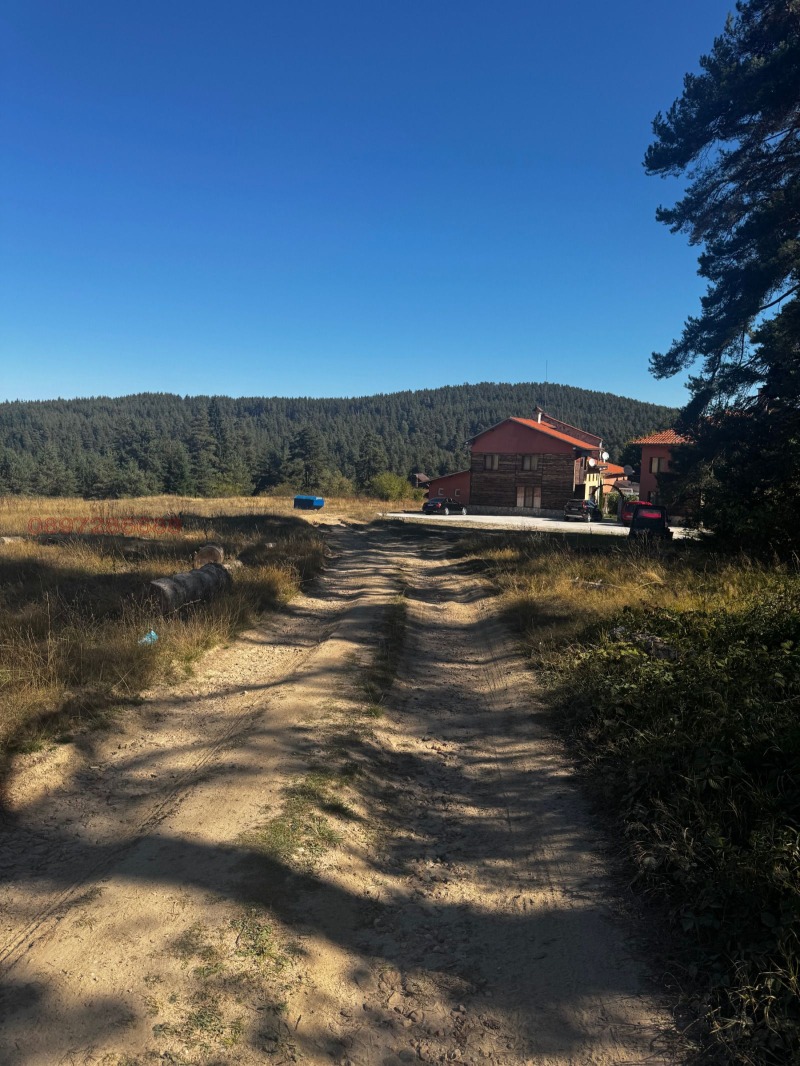 Продава ПАРЦЕЛ, м-т Цигов чарк, област Пазарджик, снимка 2 - Парцели - 53416168