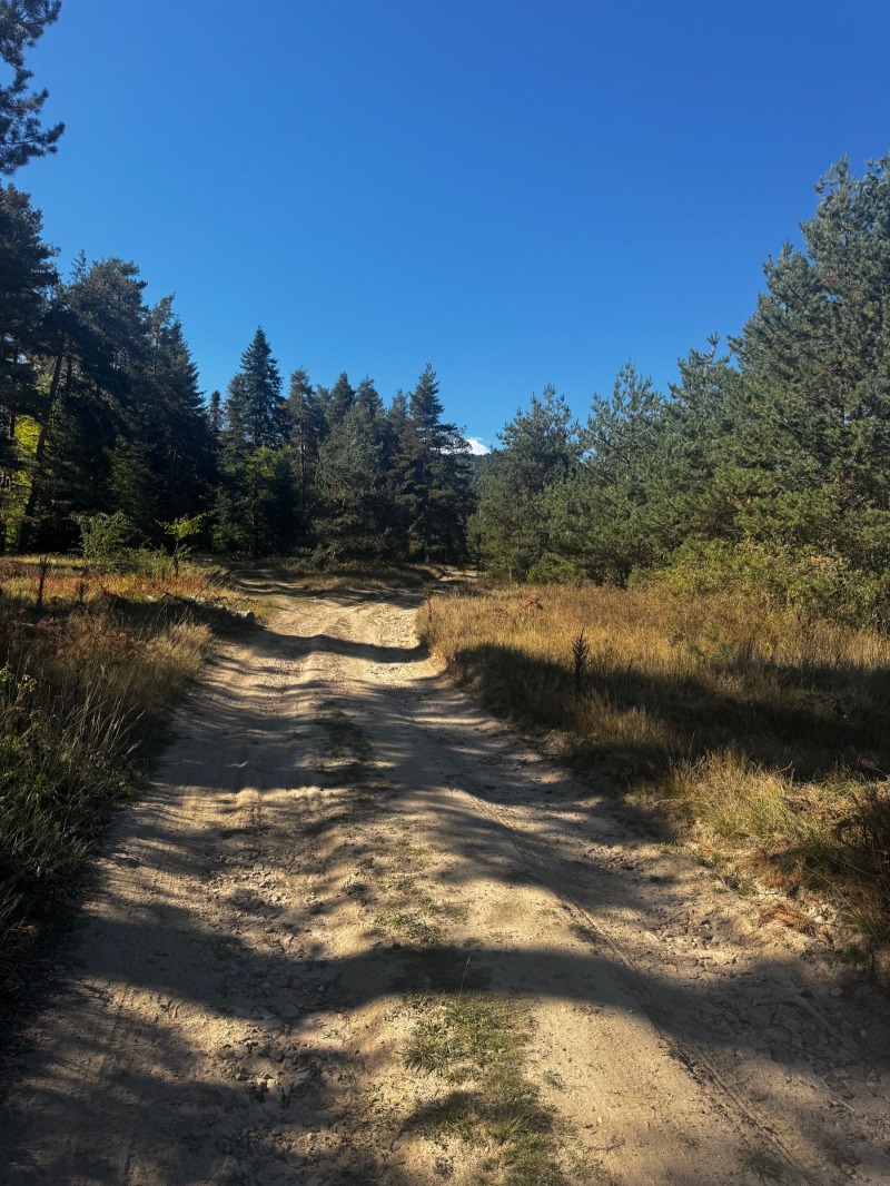 Продава ПАРЦЕЛ, м-т Цигов чарк, област Пазарджик