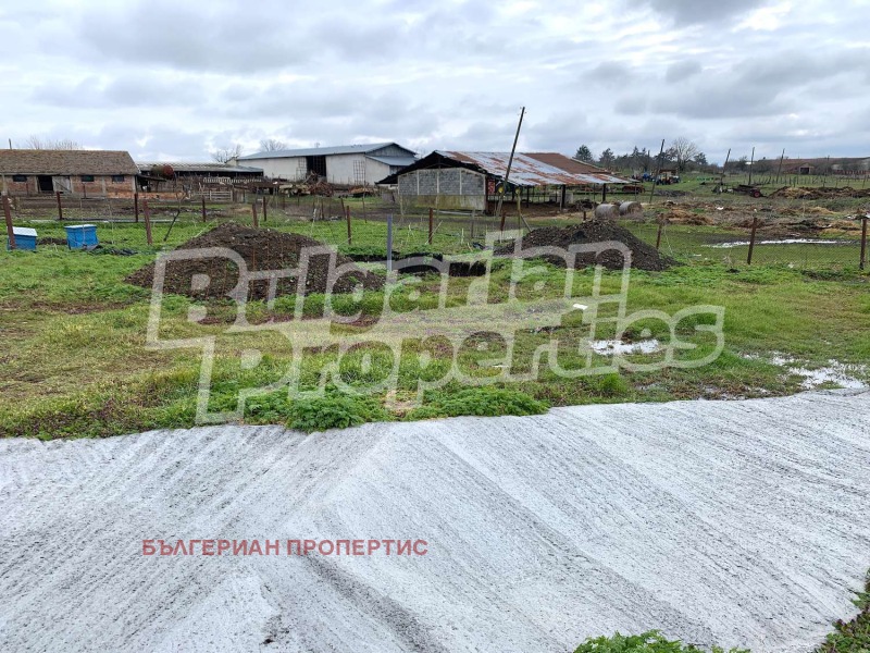 Til salg  Jord region Burgas , Dyulevo , 4.82 dka | 17608201 - billede [14]