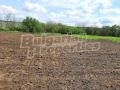 Продава ПАРЦЕЛ, с. Павел, област Велико Търново, снимка 5