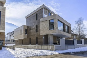 ����� ������� ����,���� �����, ����������