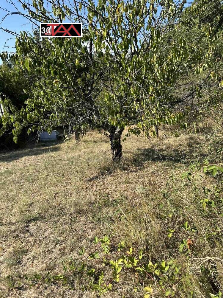 Продава КЪЩА, с. Сърнегор, област Пловдив, снимка 9 - Къщи - 53747165