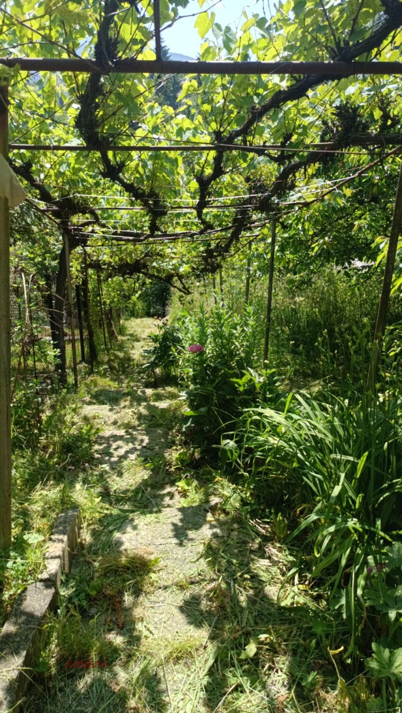 Продава  Къща област Перник , с. Рударци , 100 кв.м | 51924141 - изображение [7]
