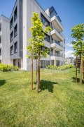 Продава 3-СТАЕН, гр. София, Драгалевци, снимка 9