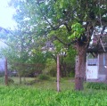 Продава КЪЩА, с. Ястребино, област Търговище, снимка 2