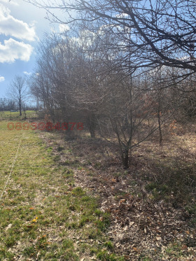 ������� ������ | Imot.bg � ����� ������ 4