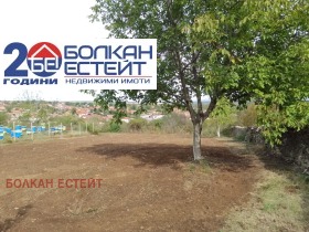 Plot Samovodene, region Veliko Tarnovo 2