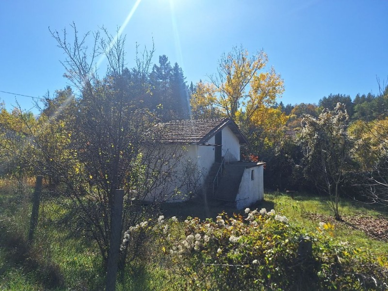 Продава КЪЩА, с. Кременик, област Кюстендил, снимка 4 - Къщи - 52184745