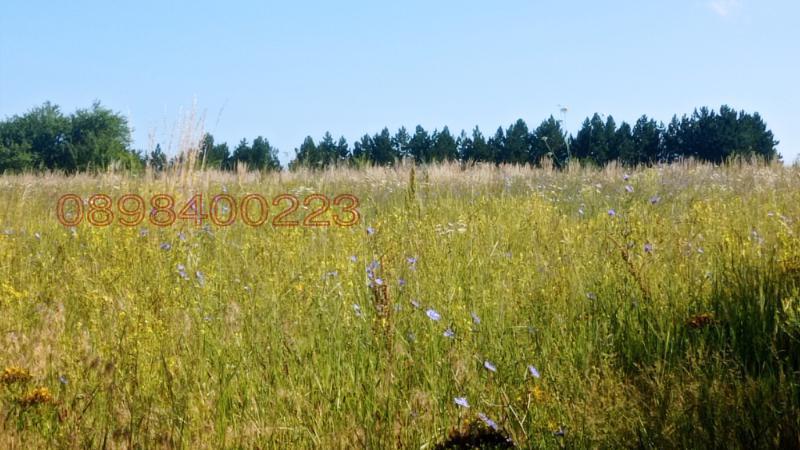 ������� ������ | Imot.bg � ����������� 3