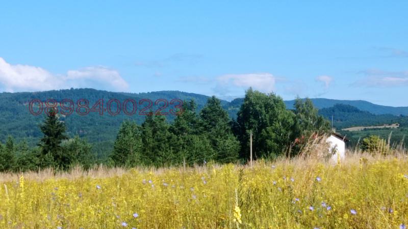 ������� ������ | Imot.bg � ����������� 2