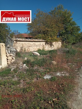 Hus Pisanec, region Ruse 3