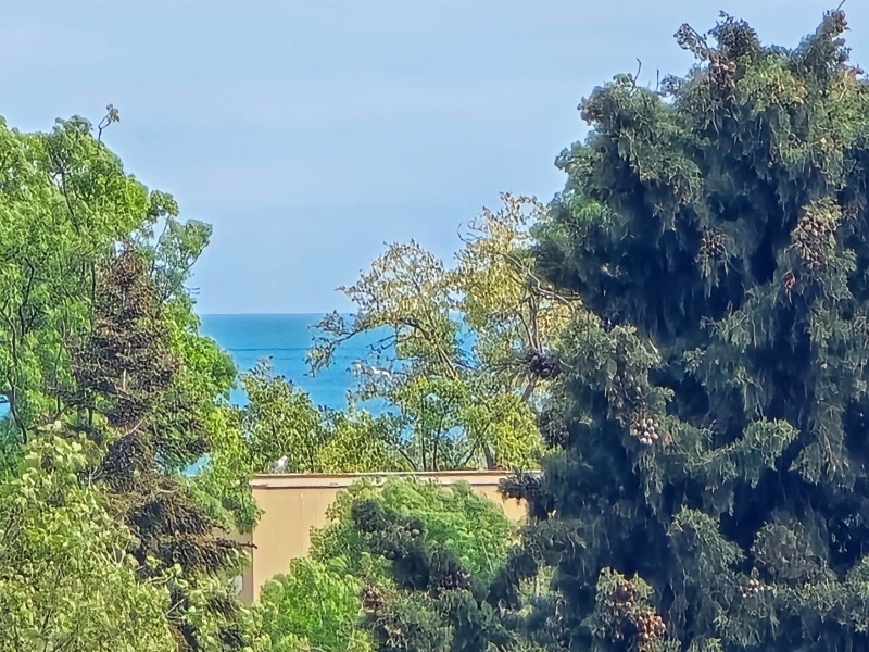 Zu verkaufen  1 Schlafzimmer region Burgas , k.k. Slantschew brjag , 63 qm | 72136354 - Bild [11]