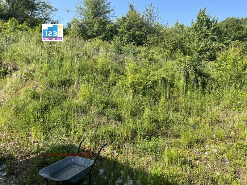 Продава  Парцел град София , с. Бистрица , 1000 кв.м | 43001403