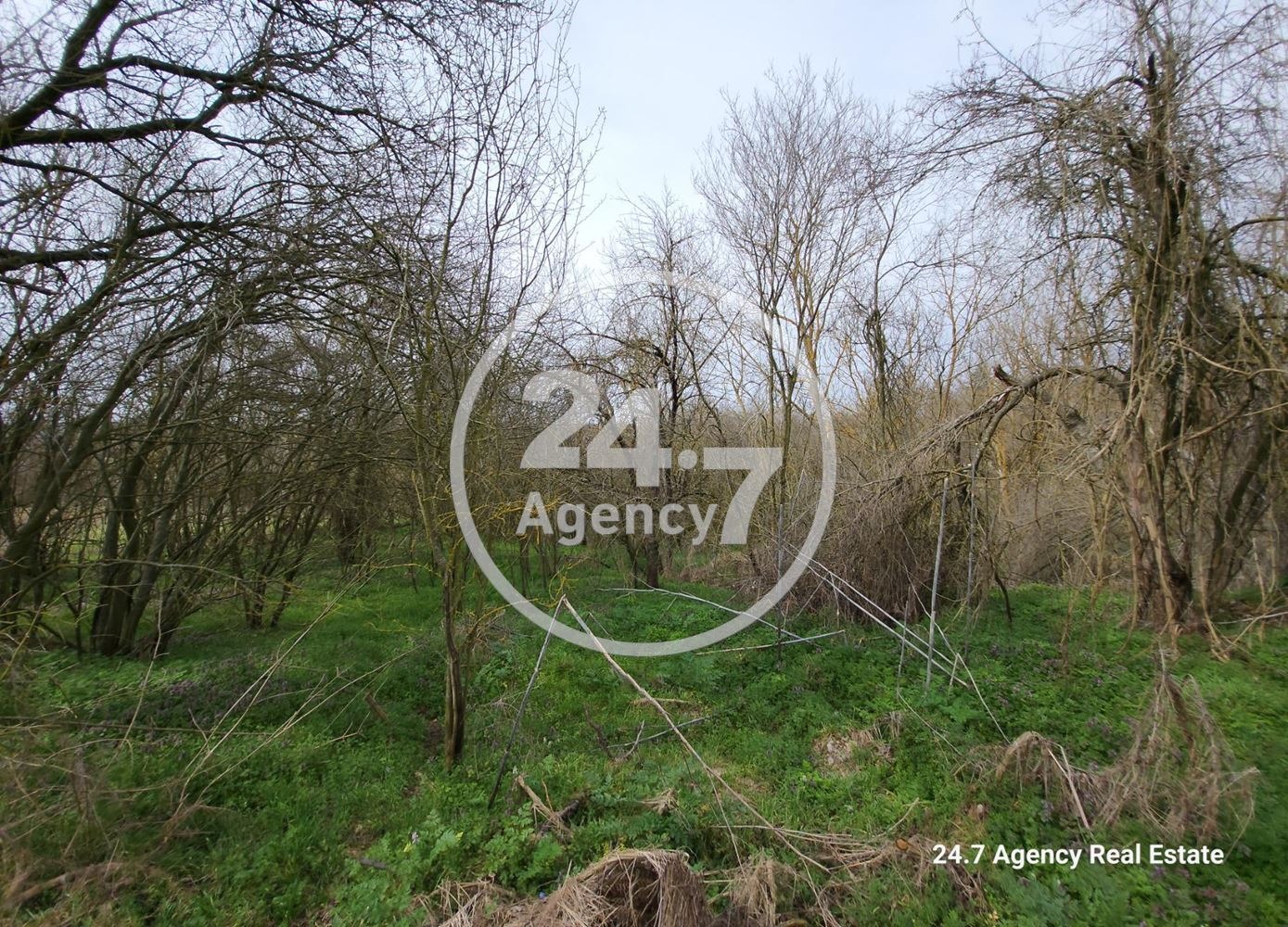 ������� ���� | Imot.bg � ����������� 17