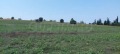 Продава ПАРЦЕЛ, Извън страната, област Извън страната, снимка 4