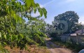 Продава ПАРЦЕЛ, област Варна, с. Слънчево • 19000 € • 87809050 — Holmes.bg