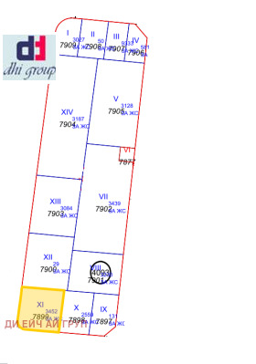 ����� ������� ������,���� �����, ���������