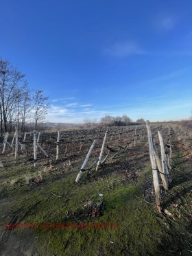 Парцел с. Белащица, област Пловдив 3