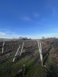 Продава ПАРЦЕЛ, област Пловдив, с. Белащица • 95000 € • 38835152 — Holmes.bg