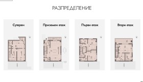 ����� ������� ����,���� �����, ����������