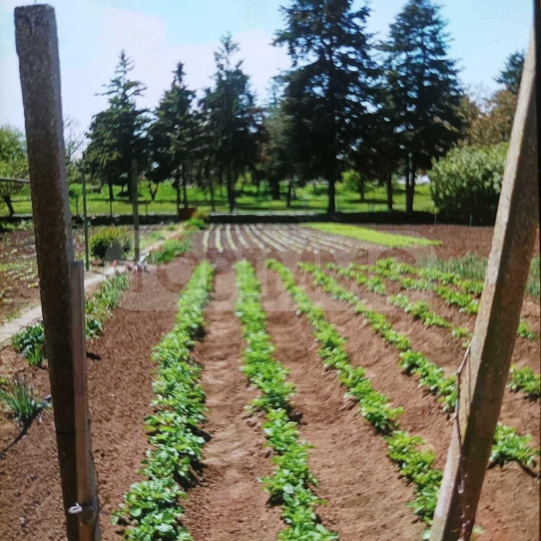 Продава КЪЩА | Imot.bg — изображение 6