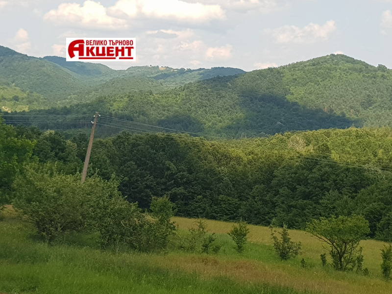 Na prodej  Hotel oblast Veliko Tarnovo , Elena , 989 m2 | 56150447 - obraz [4]