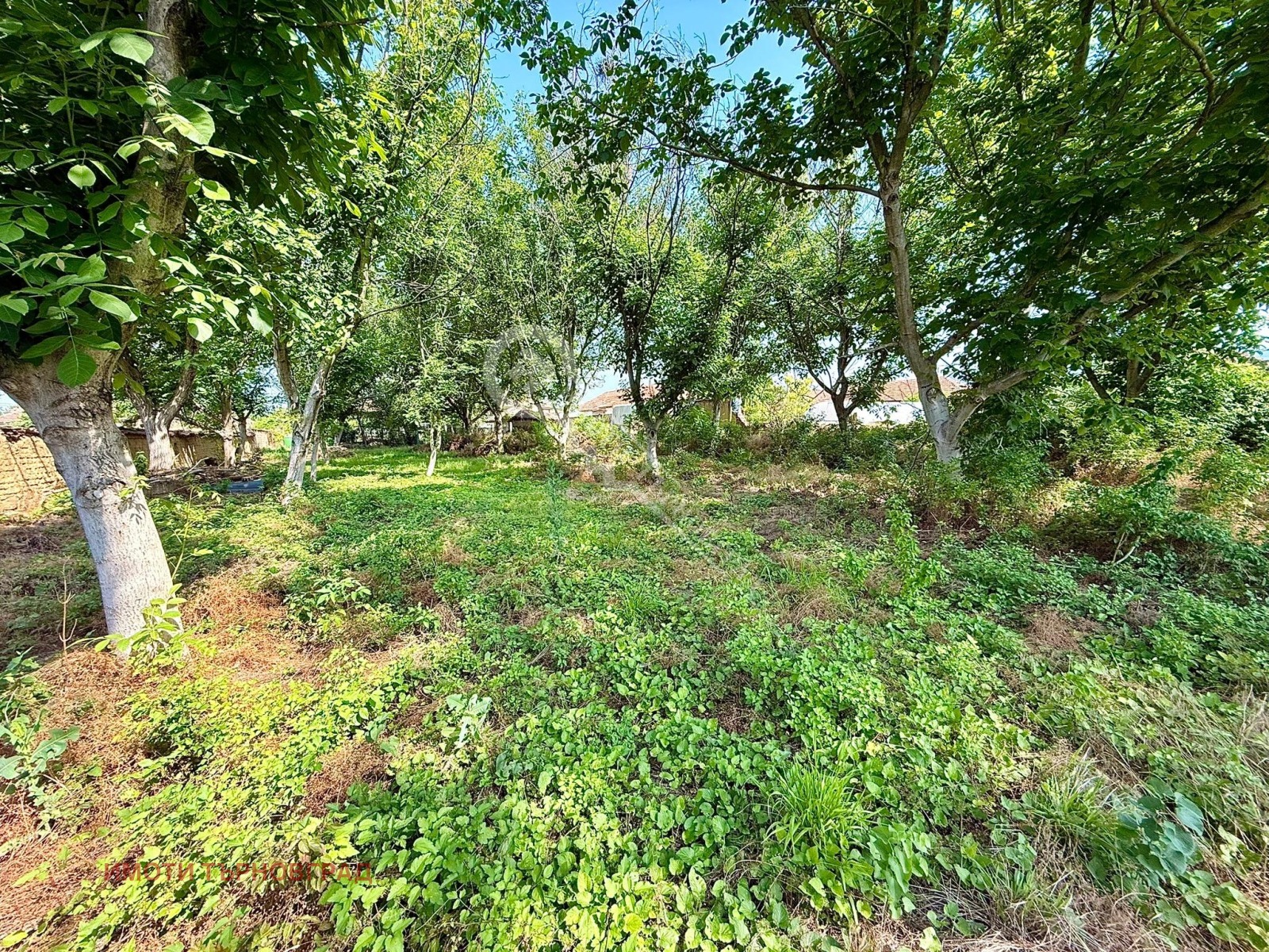 Продава КЪЩА, с. Върбица, област Велико Търново, снимка 2 - Къщи - 50655571