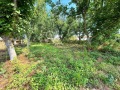 Продава КЪЩА, с. Върбица, област Велико Търново, снимка 2