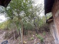 Продава КЪЩА, област Велико Търново, с. Караисен • 72000 € • 84638762 8