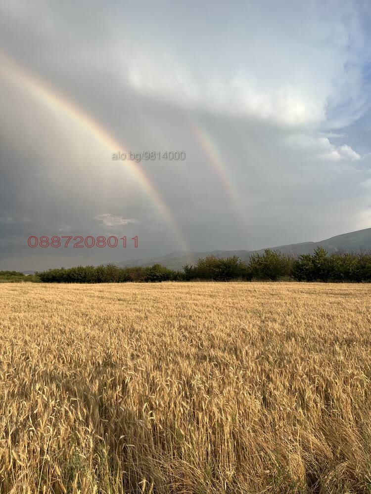 Продава ЗЕМЕДЕЛСКА ЗЕМЯ, с. Брестник, област Пловдив, снимка 2 - Земеделска земя - 53936255