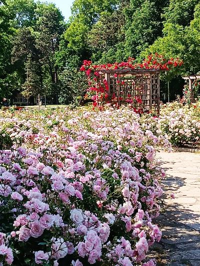 ������� 2-����� | Imot.bg � ����������� 7