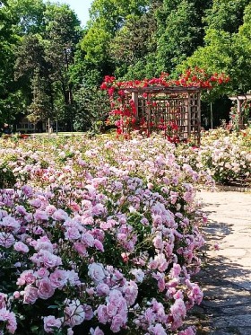 ������� 2-����� | Imot.bg � ����� ������ 7