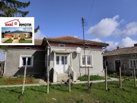 ������ ������� ����