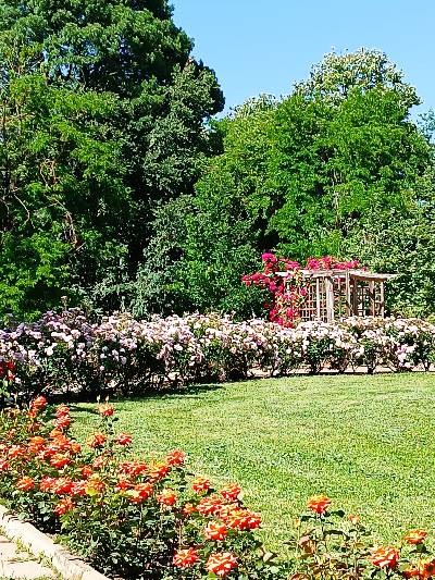 Продава 2-СТАЕН, гр. Добрич, Свети Георги, снимка 5 - Апартаменти - 52828249