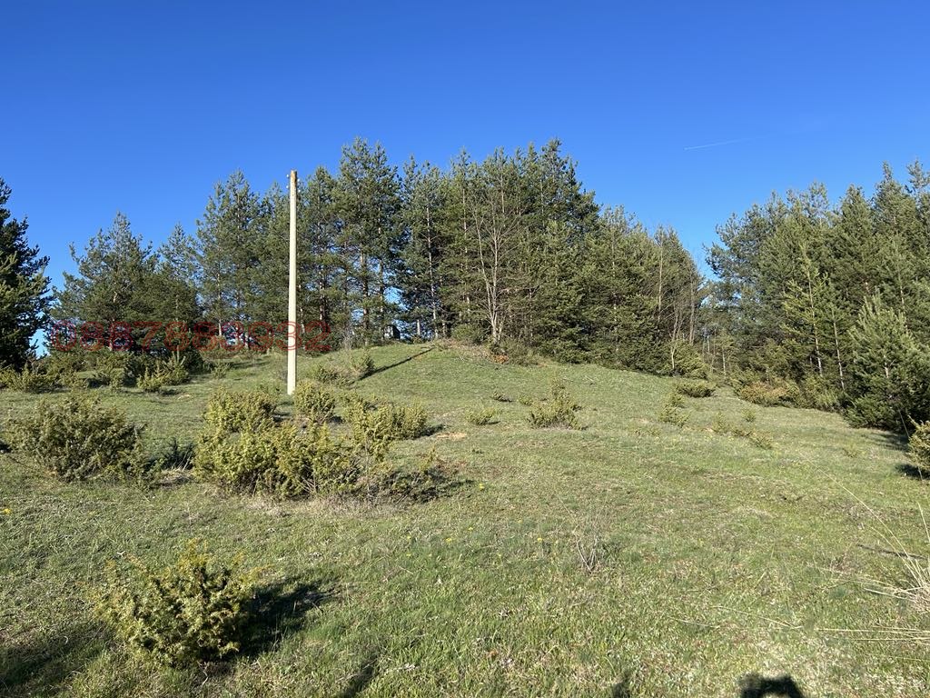 Продава ПАРЦЕЛ, с. Долно Драглище, област Благоевград, снимка 3 - Парцели - 54339982