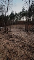 Продава ПАРЦЕЛ, град София, с. Долни Пасарел • 35000 € • 80074383 — Holmes.bg