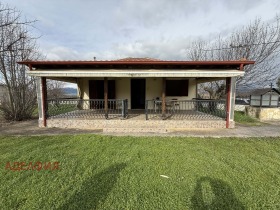 ������ ������� ����