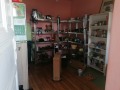 Продава КЪЩА, с. Владимирово, област Добрич, снимка 12