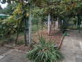 Продава КЪЩА, с. Владимирово, област Добрич, снимка 5