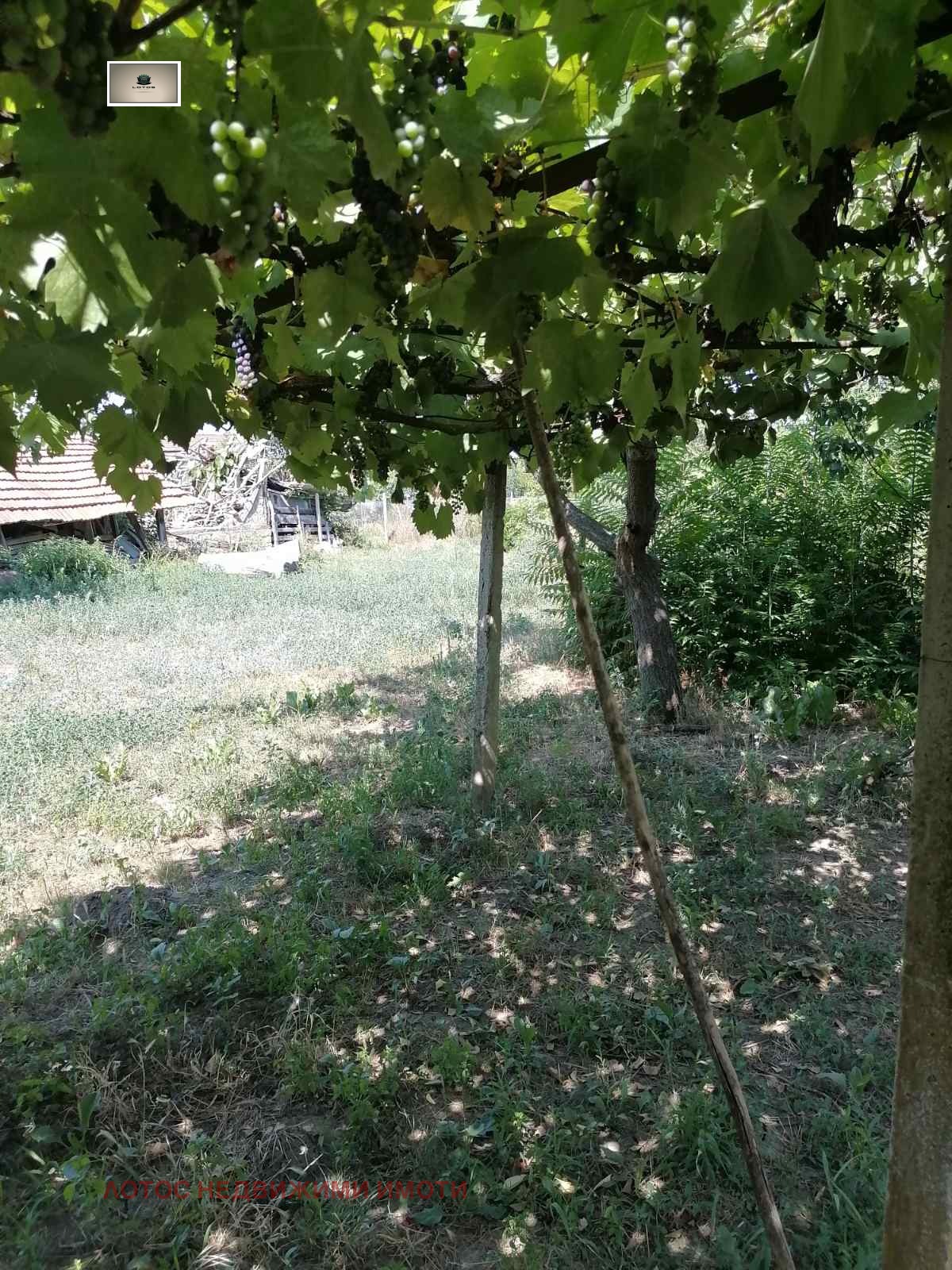 Продава КЪЩА | Imot.bg — изображение 13