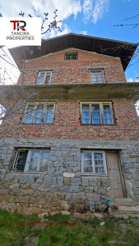 ������ ������� ����