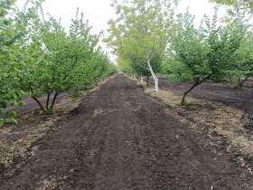 Земеделска земя с. Пчеларово, област Добрич 1