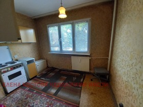 Studio Razsadnika, Sofia 4